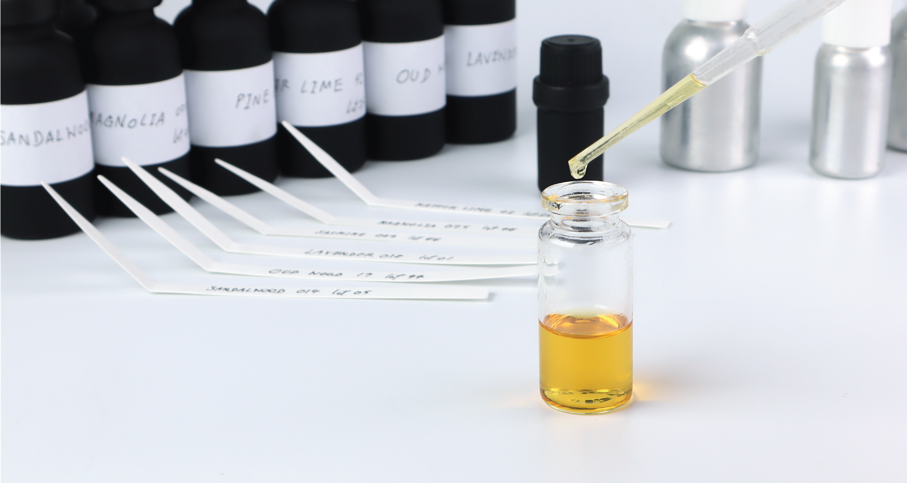 From Blank Slate to Bestseller: A Retail Buyer's Guide to Fragrance Development