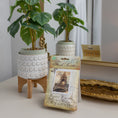 Load image into Gallery viewer, Paris - Sachet 3 Pack