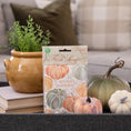 Load image into Gallery viewer, A pack of 'Spiced Pumpkin' scented sachets by Fresh Scents, depicted on a coffee table with pumpkins and a small house plant