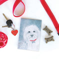 Load image into Gallery viewer, Lucky Dog Fresh Scents Fragranced Sachet with Dog Leash and Treats
