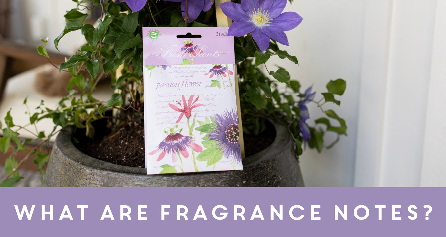 What are Fragrance Notes?