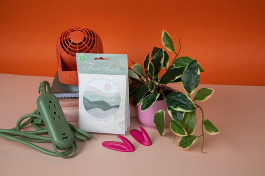 The Back-to-School Checklist: Dorm Must-Haves That Don’t Break the Rules