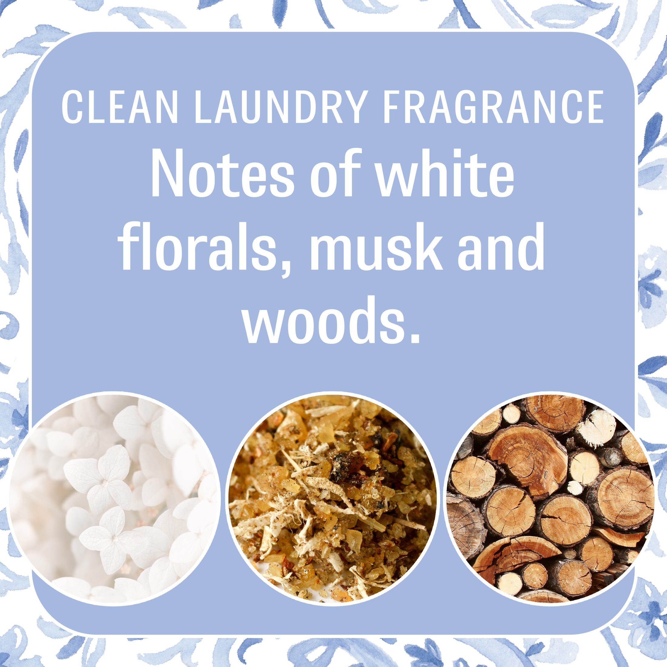 Paisley - Sachet 2pk