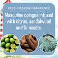Load image into Gallery viewer, Promotional graphic for Fresh Scents Tradewinds Sachet 3pk, a fresh marine scent featuring a lighthouse and three circles with lime, sandalwood, and fir needle images. Text: Masculine fragrance with citrus, sandalwood & fir needle.
