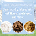 Load image into Gallery viewer, Text on a blue background reads, Fresh Scents Clean Clothes - Sachet 3pk: clean laundry with fresh florals, sandalwood, and musk. Below are circular images of white petals, sandalwood sticks, and dried materials.
