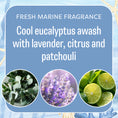 Load image into Gallery viewer, A graphic reads: Refuse To Sink - Sachet 3pk by Fresh Scents. Cool eucalyptus blends with lavender, citrus, and patchouli for a fresh marine fragrance. Features images of eucalyptus leaves, lavender flowers, and halved limes.
