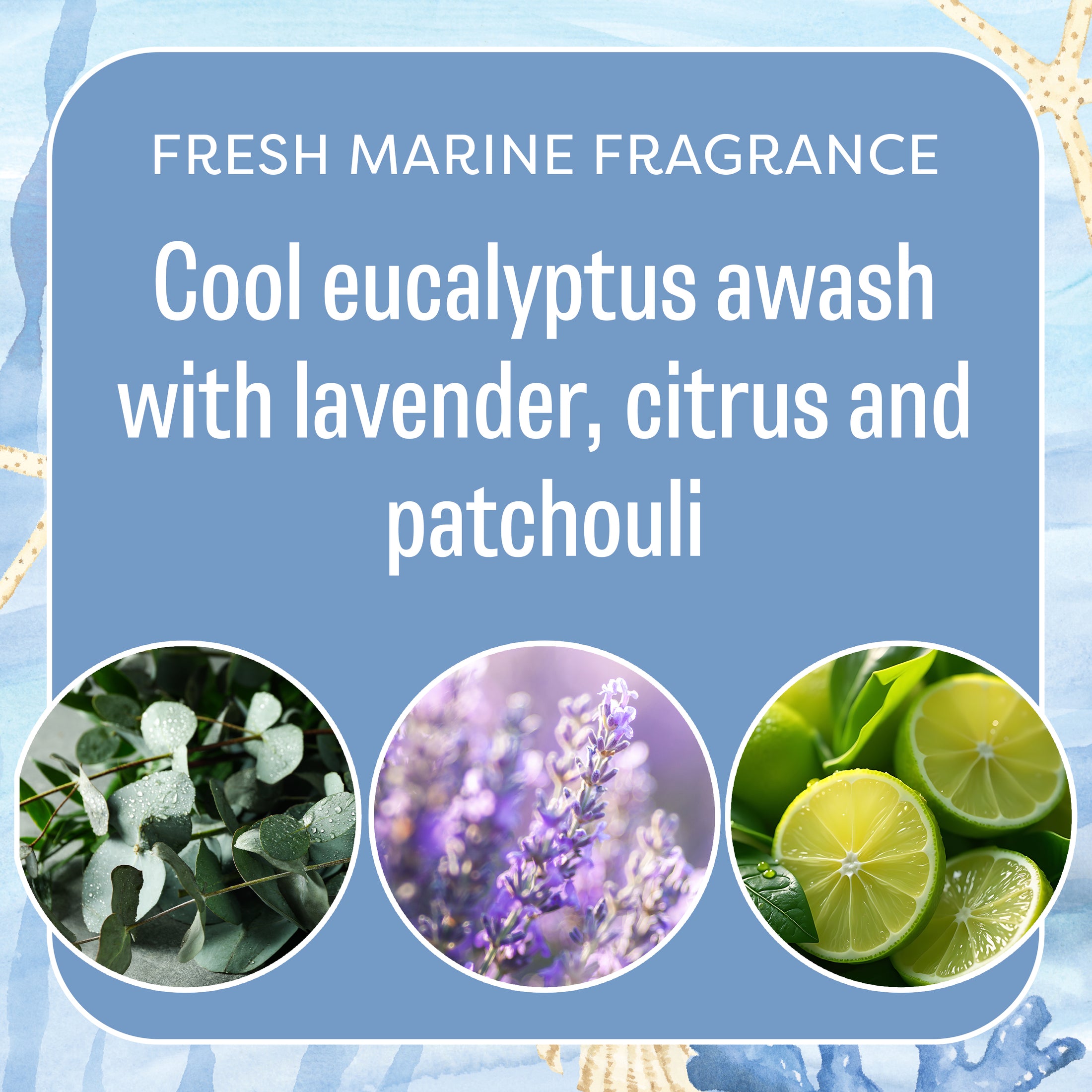 A graphic reads: Refuse To Sink - Sachet 3pk by Fresh Scents. Cool eucalyptus blends with lavender, citrus, and patchouli for a fresh marine fragrance. Features images of eucalyptus leaves, lavender flowers, and halved limes.