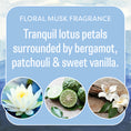 Load image into Gallery viewer, A graphic with text describes Fresh Scents Adventure Mountain - Sachet 3pk, featuring lotus petals, bergamot, patchouli, and vanilla for a tranquil floral musk fragrance with long-lasting freshness. Images show lotus flower, sliced bergamot, patchouli leaves, and vanilla flower.
