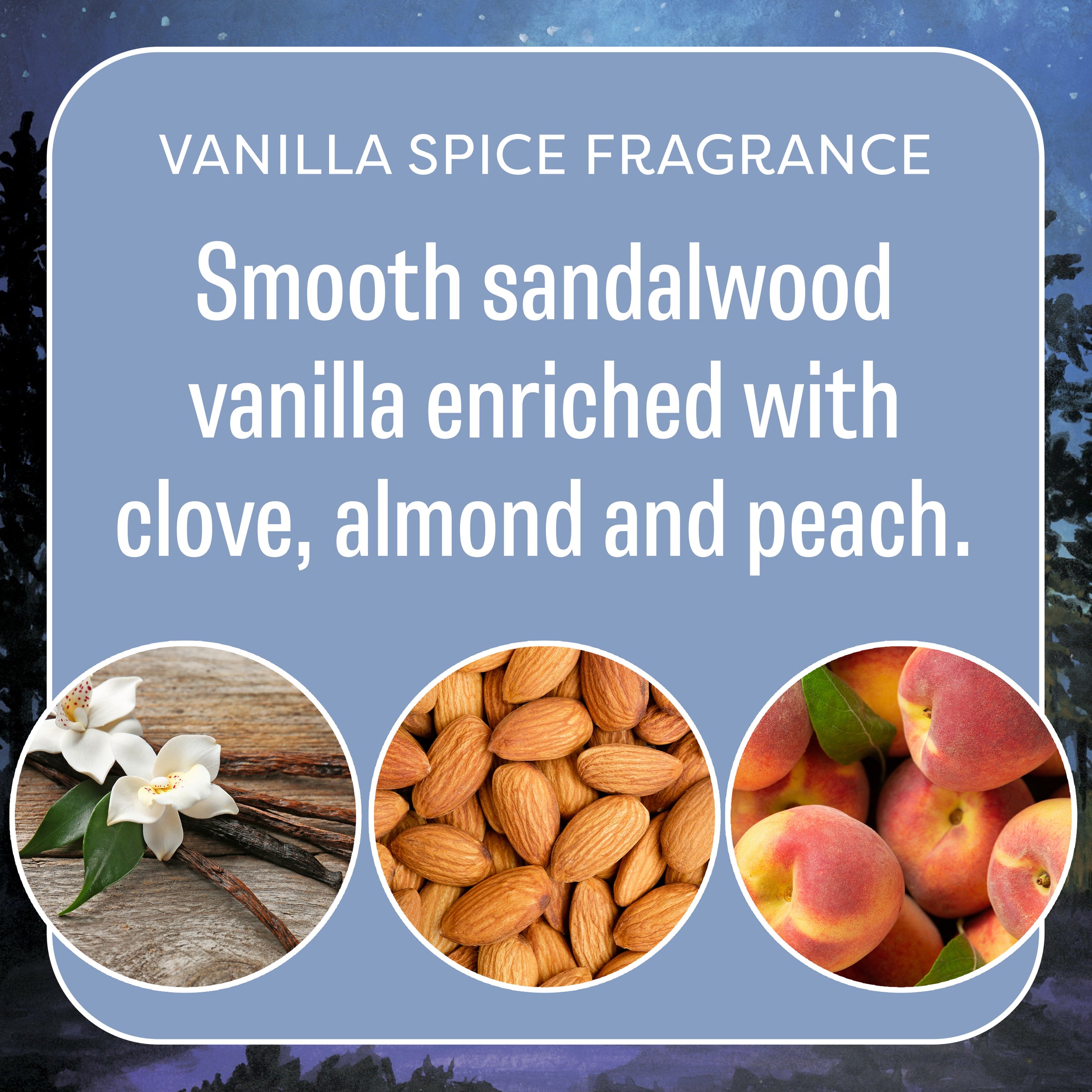 Fresh Scents’ Into the Forest - Sachet 3pk features a smooth sandalwood vanilla fragrance enhanced with clove, almond, and peach. The packaging shows vanilla flowers, almonds, and peaches against a night sky—perfect for lasting freshness.