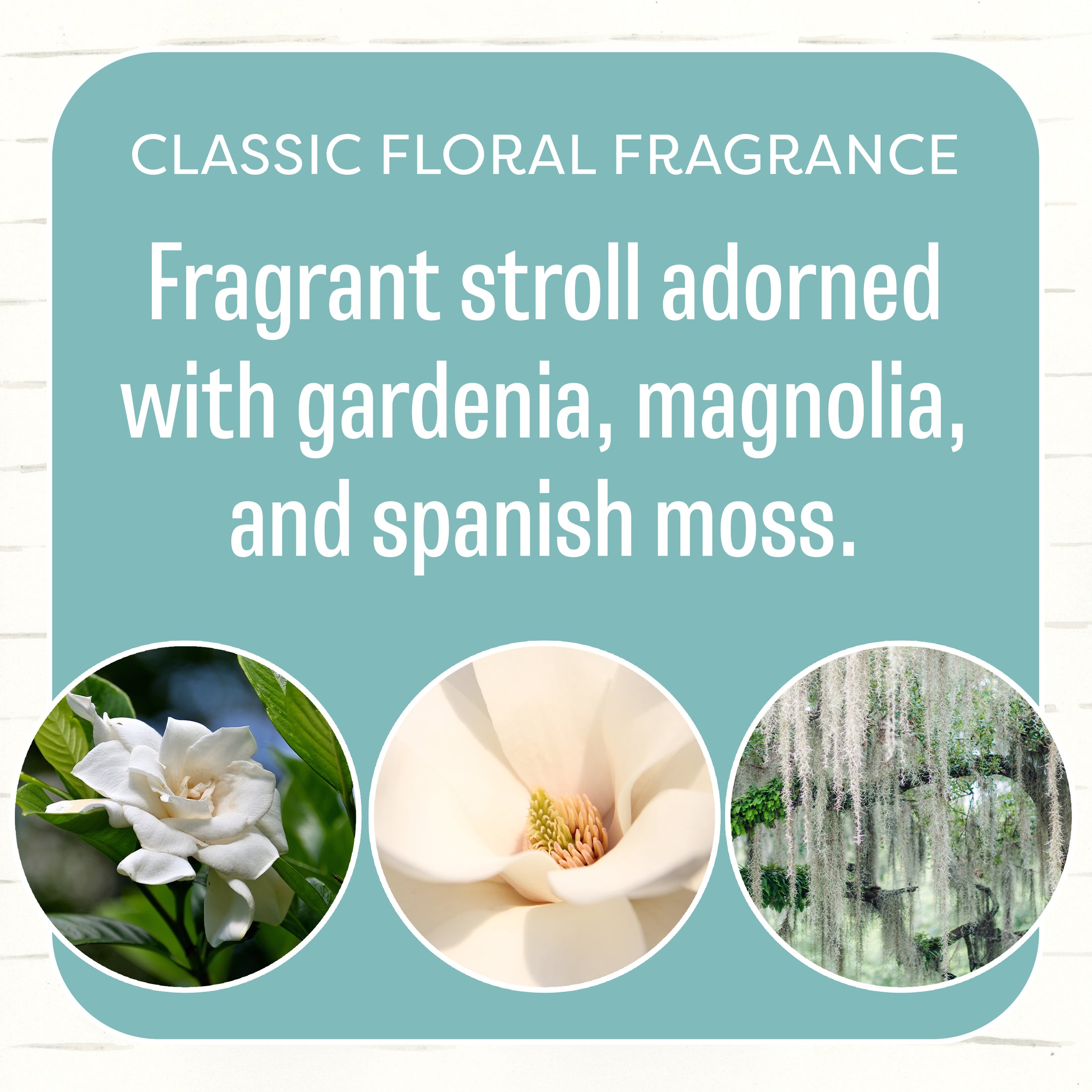 A graphic with the text "Classic Floral Fragrance." Fresh Scents Spring Door Sachet 3pk blends gardenia, magnolia, and Spanish moss in a flameless scent, above images of white gardenia, magnolia blossom, and draping moss.