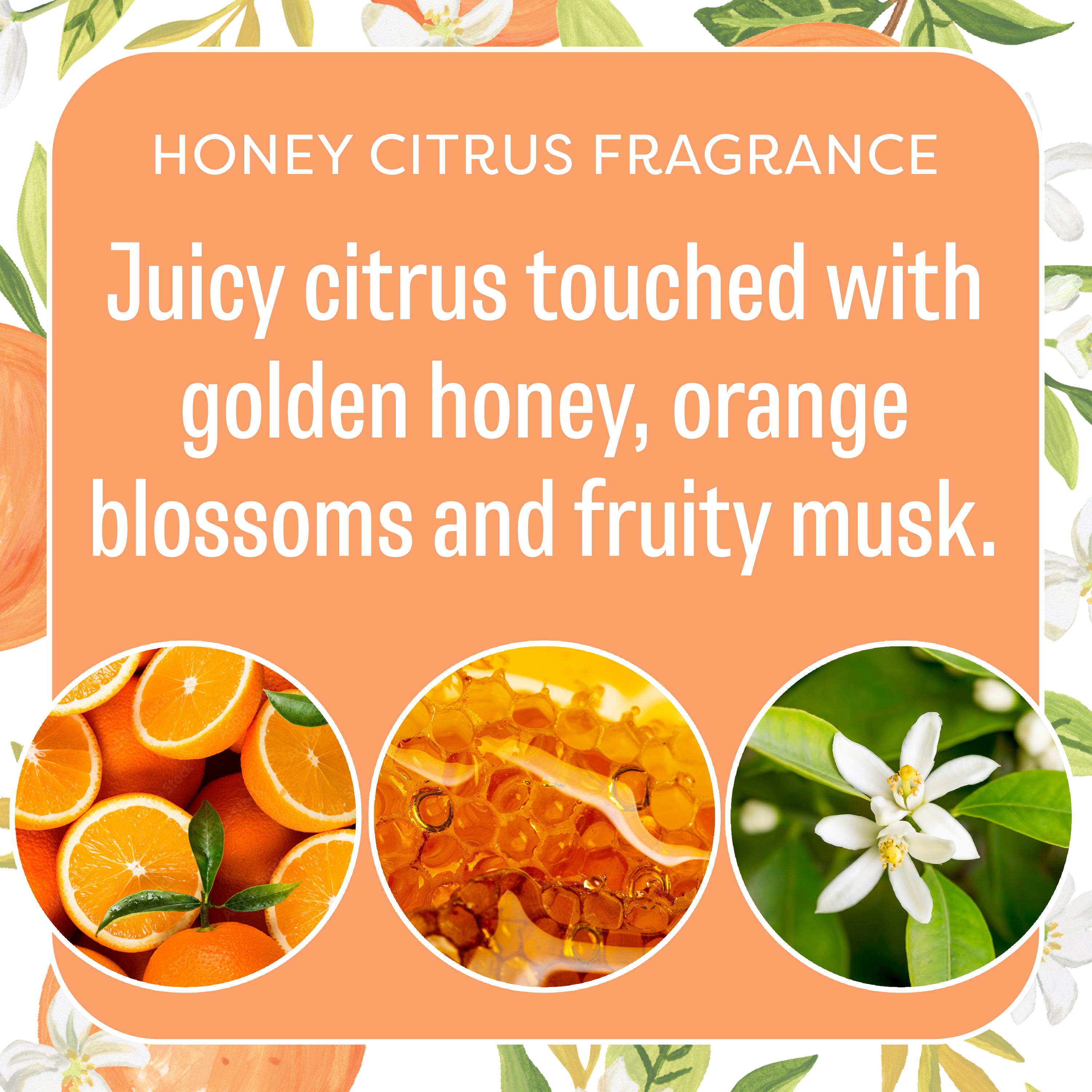 Orange & Honey - Sachet 3pk – Fresh Scents