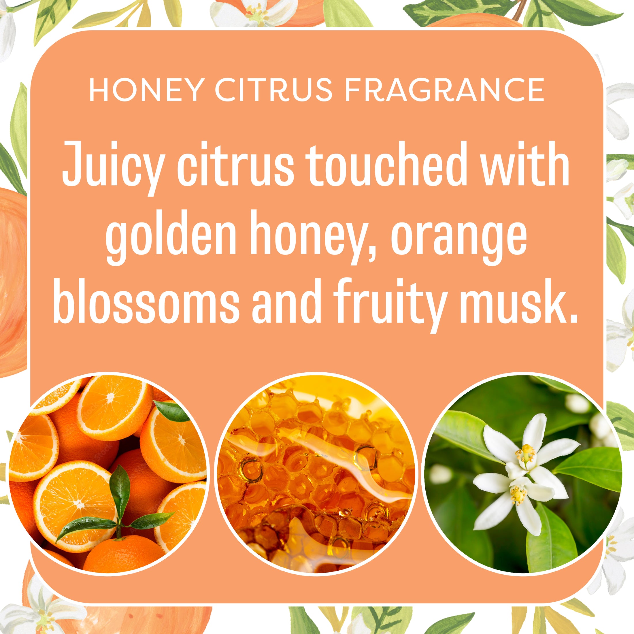 An orange floral background with "Orange & Honey - Sachet 3pk" by Fresh Scents. Experience juicy citrus, golden honey, orange blossoms, and fruity musk. Images show sliced oranges, honey, and an orange blossom flower.