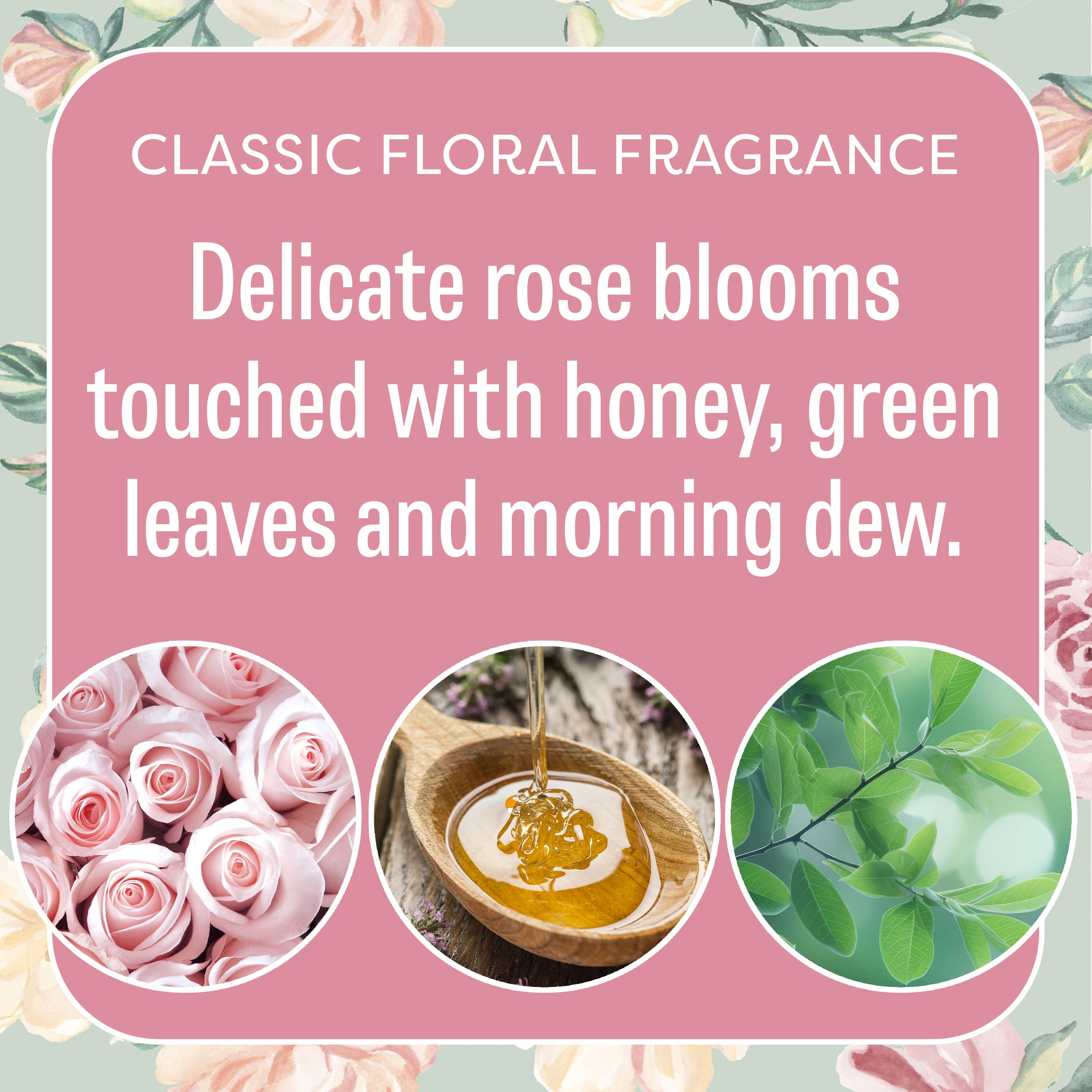 Roses - Sachet 3pk – Fresh Scents