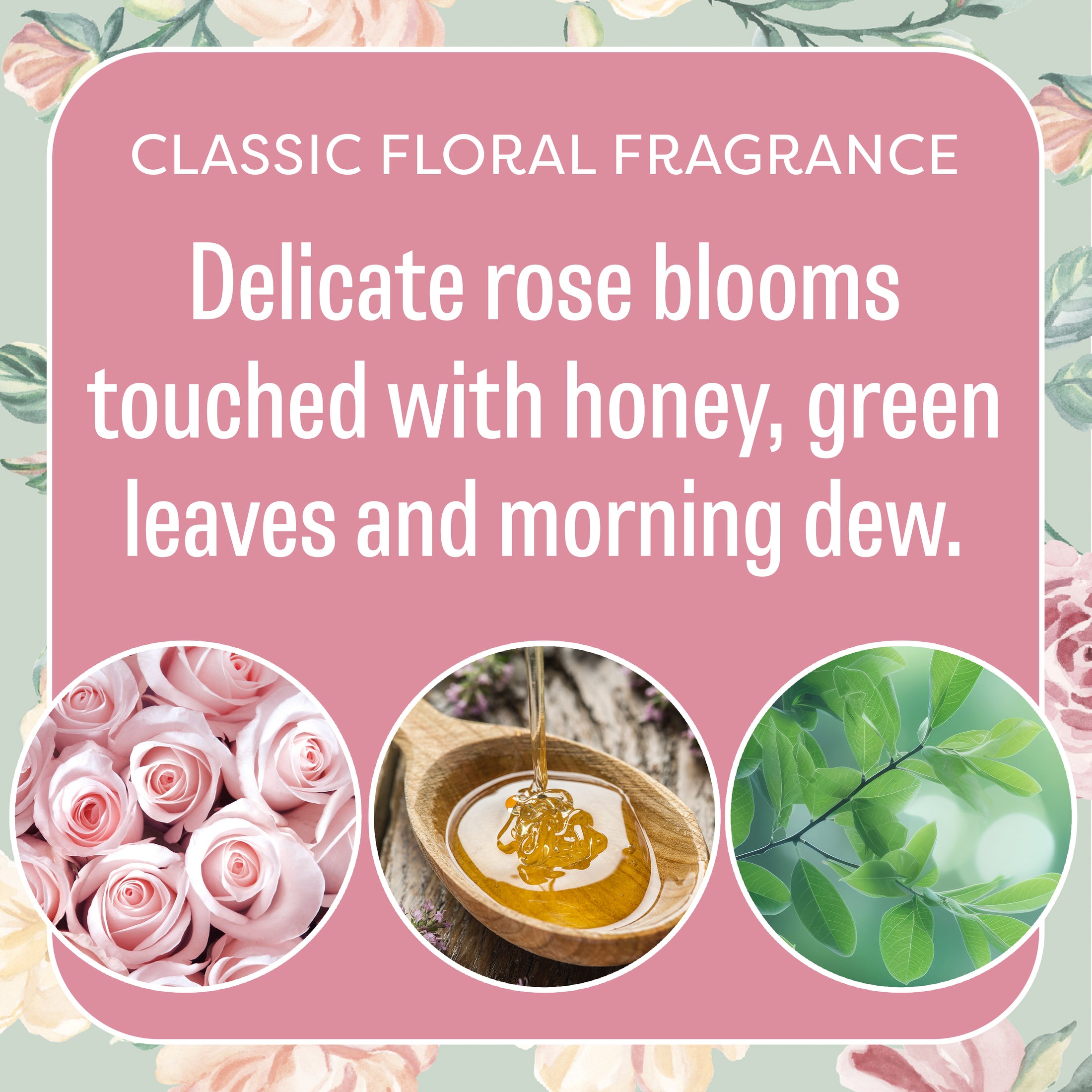 A pink floral-themed graphic for Fresh Scents Roses - Sachet 3pk. Features delicate rose blooms, honey, and green leaves for a classic fragrance. Enjoy flameless, long-lasting freshness. Images of pink roses, honey, and green leaves are shown below.