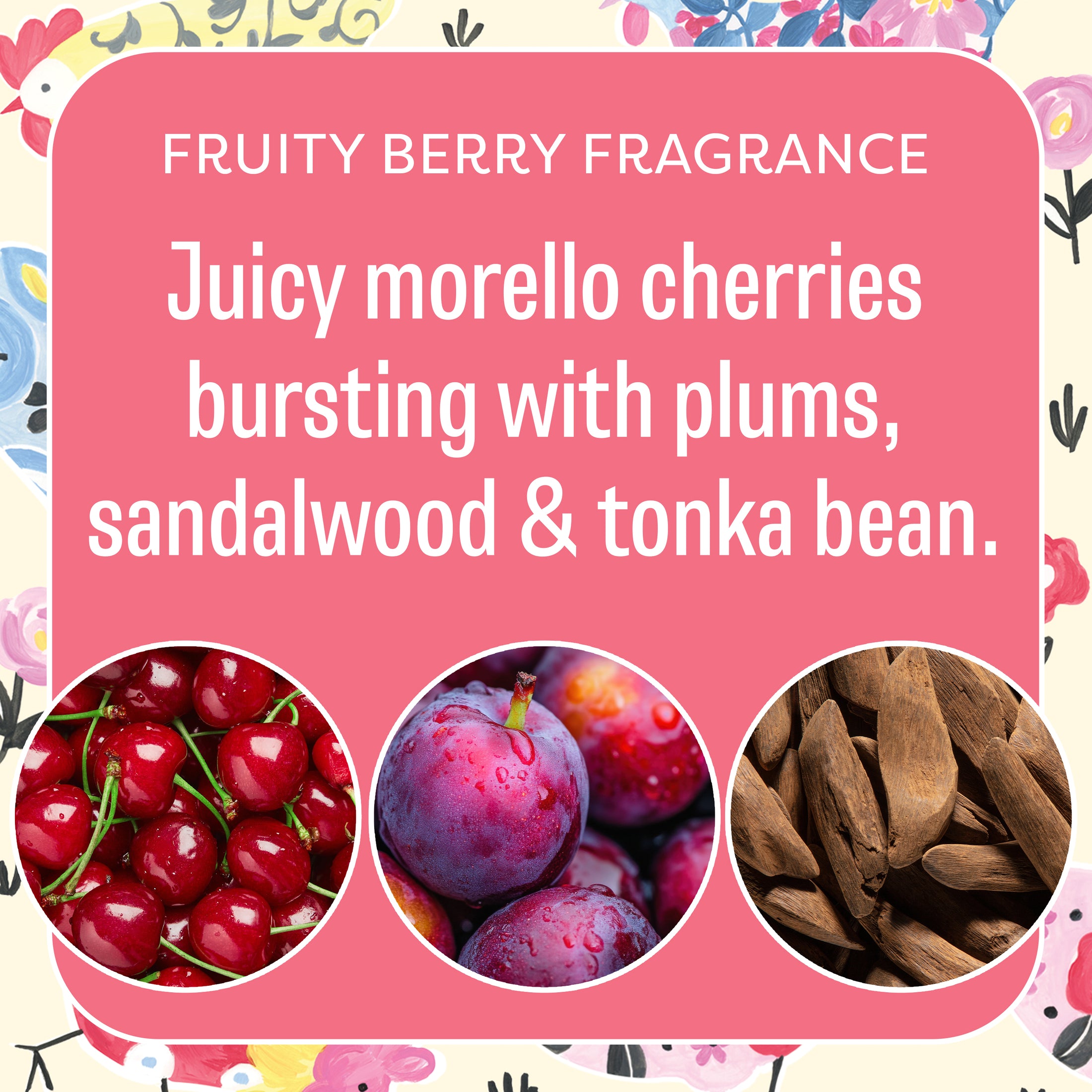 A floral-themed graphic highlights Fresh Scents’ Happy Chicken Sachet 3pk, a flameless air freshener with a fruity berry fragrance featuring juicy morello cherries, plums, sandalwood, and tonka bean—shown with photos of these lush ingredients.