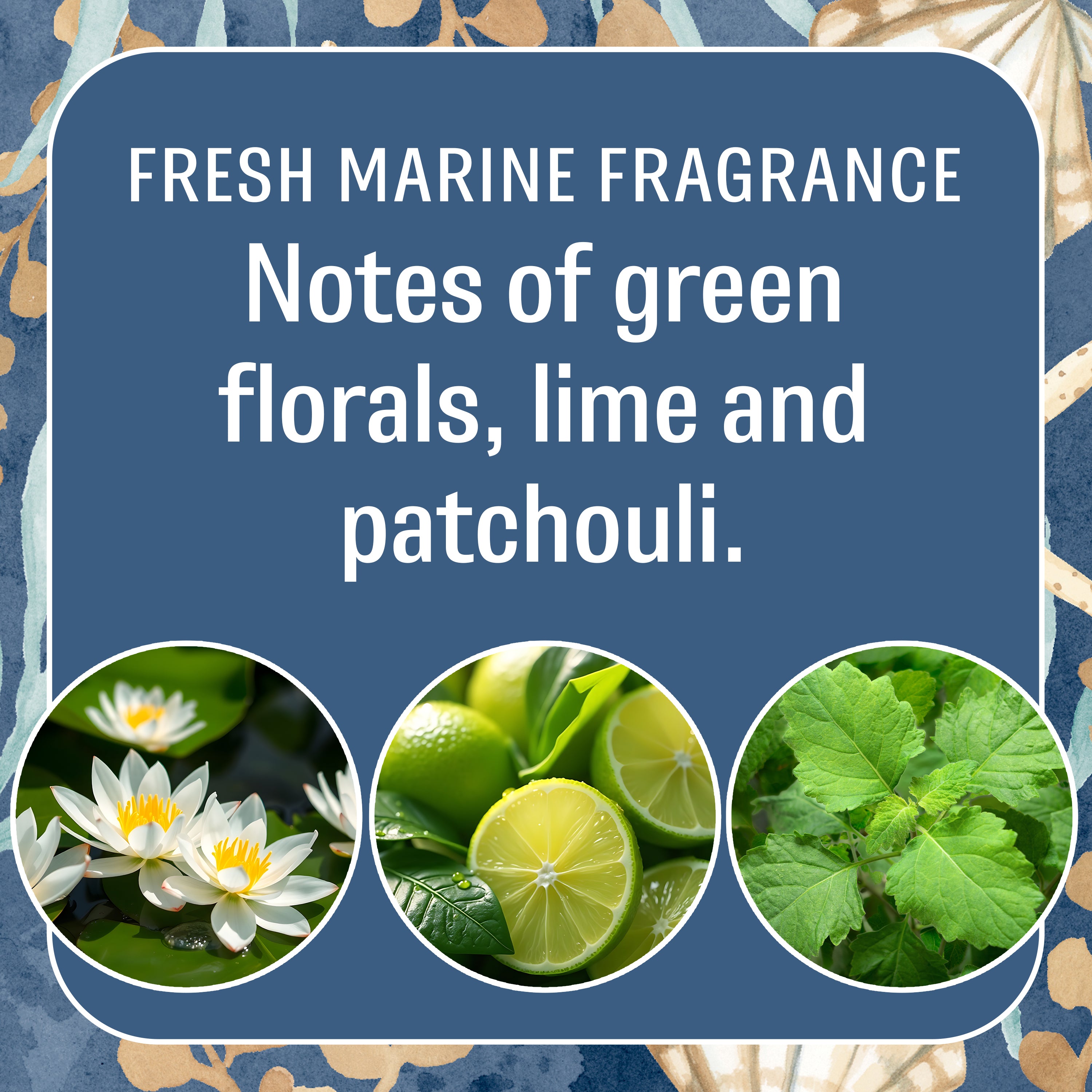 Seas the Day - Sachet 2pk – Fresh Scents