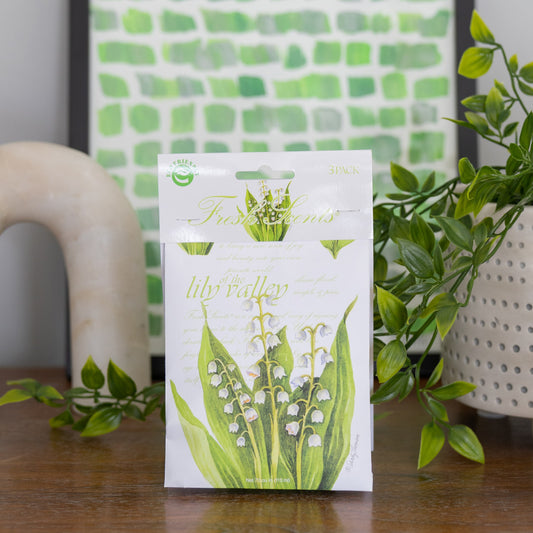 Lily of the Valley - Sachet 3 Pack