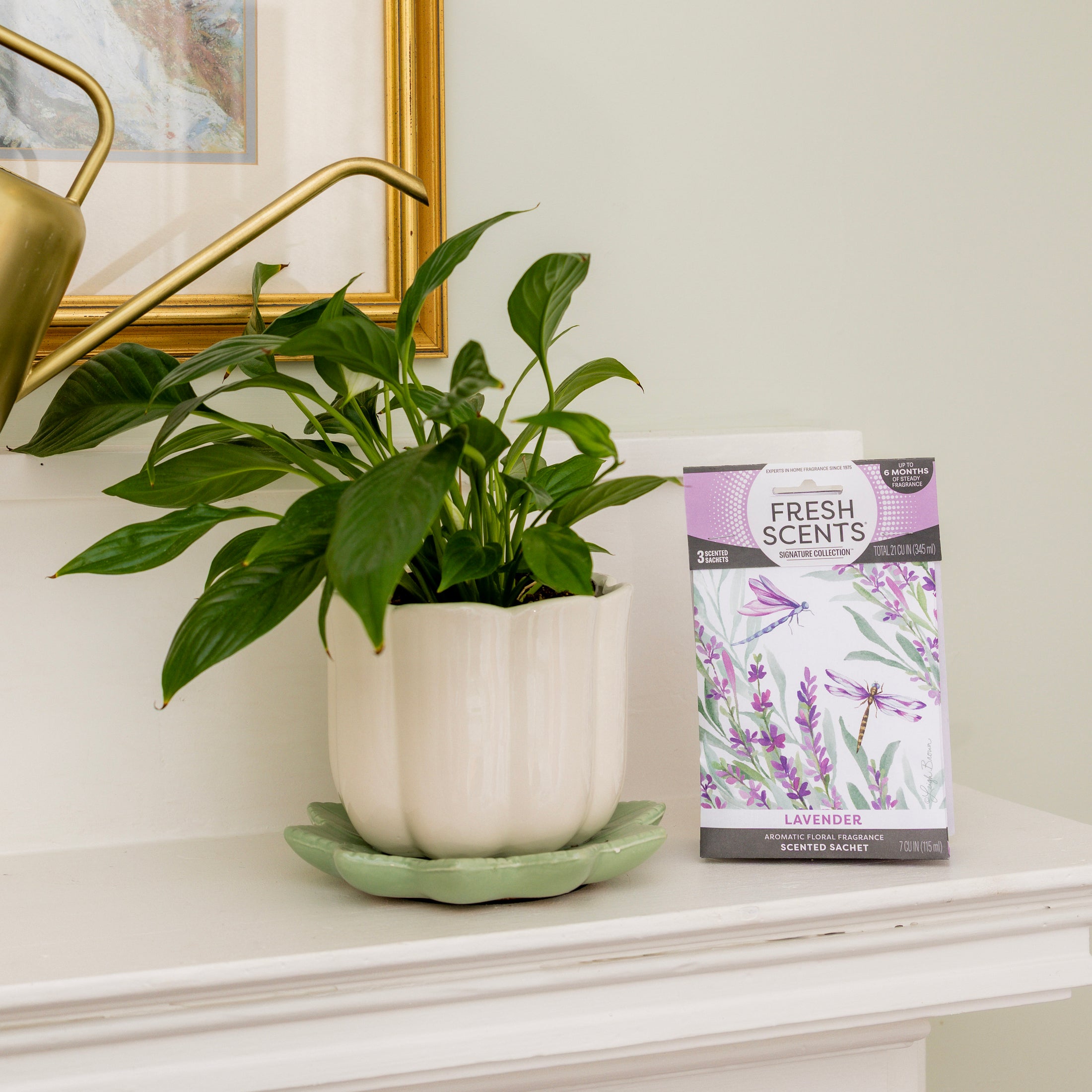 sachet lavender plant Lavender 3pk Scented Sachets