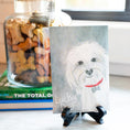 Load image into Gallery viewer, Lucky Dog Fresh Scents Fragrance Sachet on Easel Next to Jar of Dog Treats
