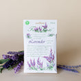 Load image into Gallery viewer, Lavender Sachet Fresh Scents 
