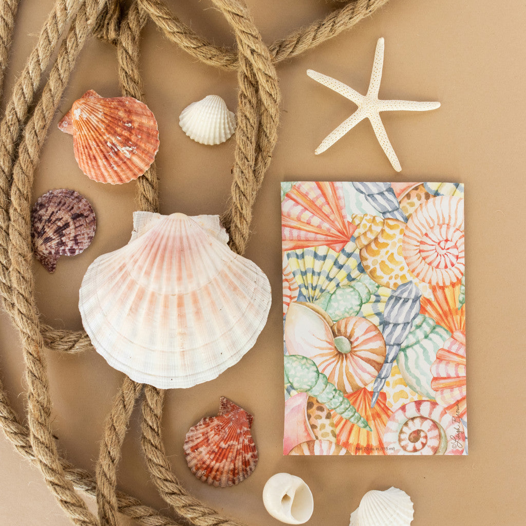 Sea Shells Fresh Scents Fragranced Sachet Flat Lay with Rope and Sea Shells